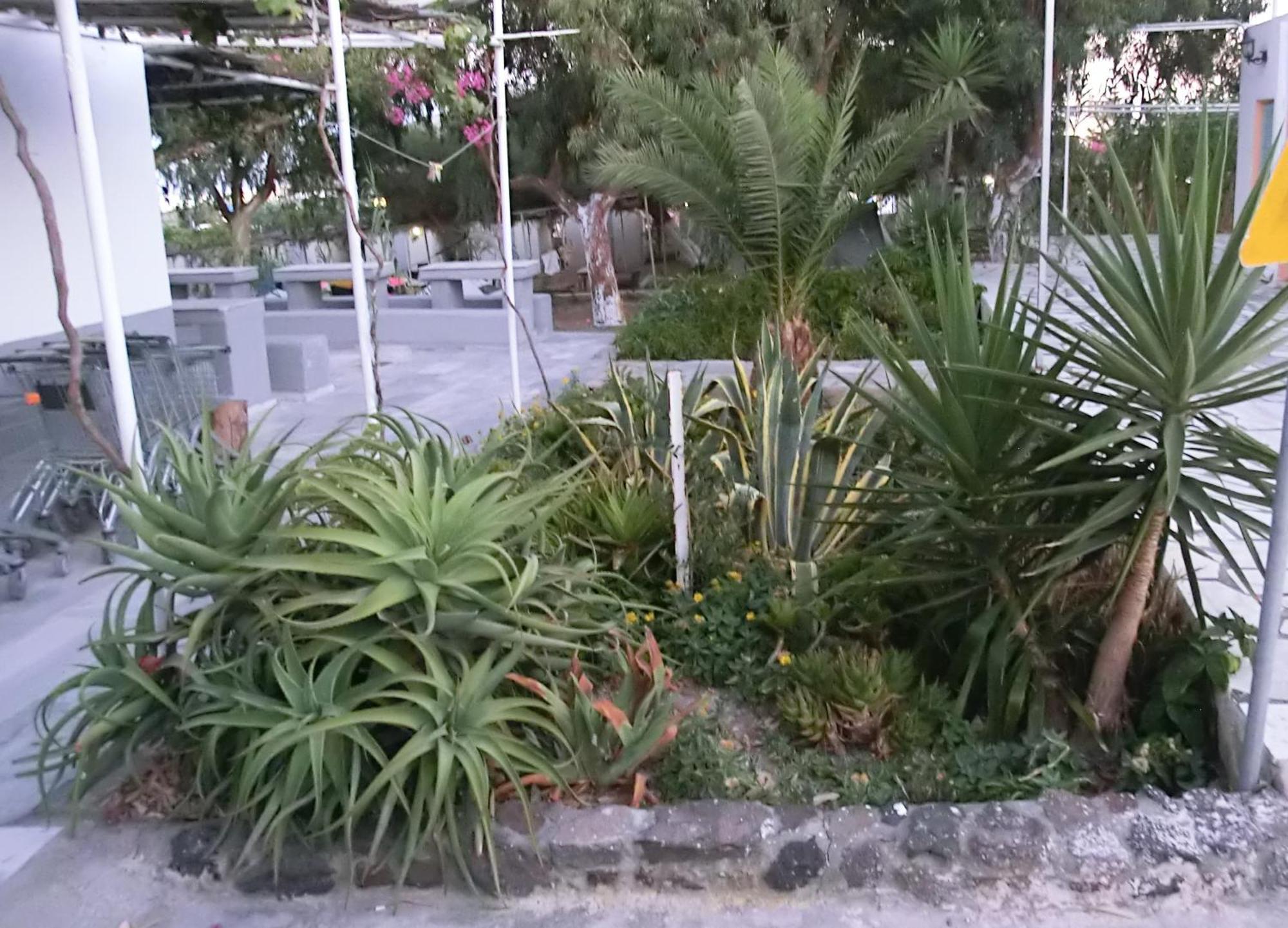Santorini Camping & Hostel Fira (Santorini) Exterior foto